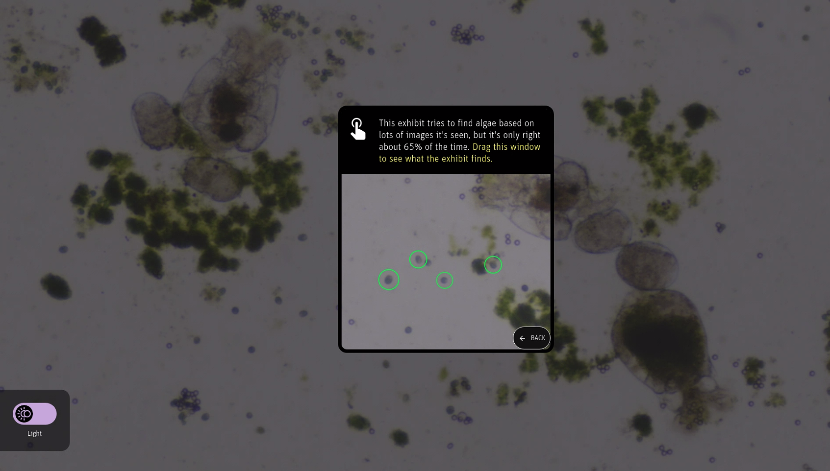 AI Scaffolding Research